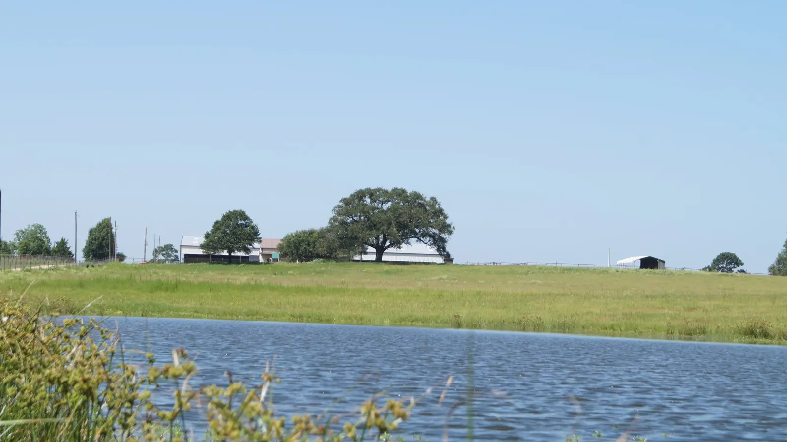 Year-round pond and improved pasture at Twin Oaks Ranch