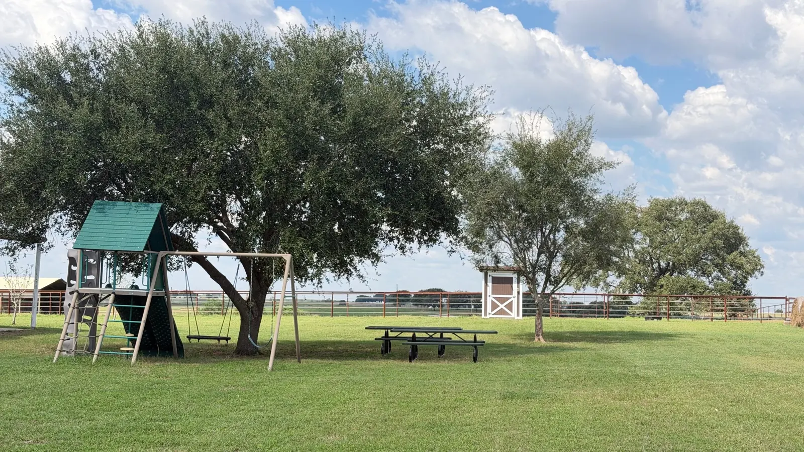 Shade oaks, picnic area and play set at Twin Oaks Ranch in Sealy, Texas