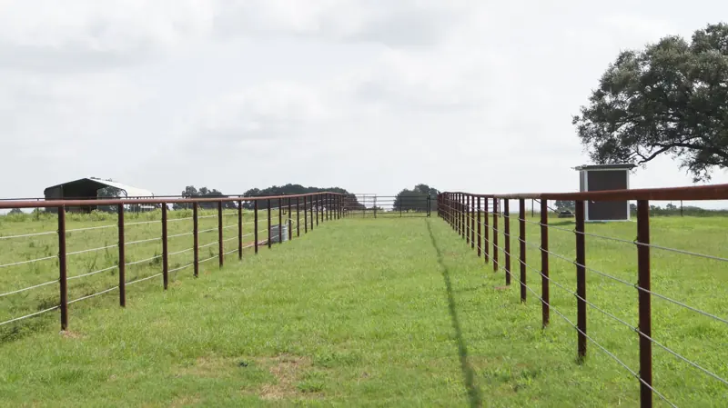 Pipe-fenced alley between improved pastures