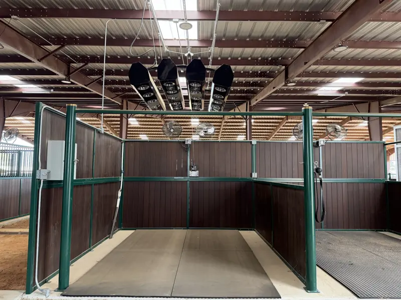 Solarium bay with overhead red and infrared lamp array and rubber-matted floor